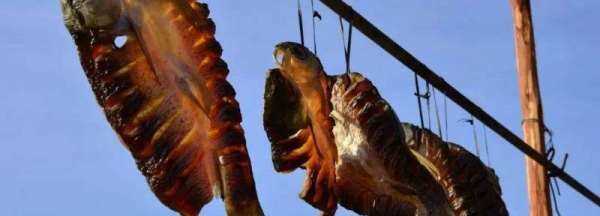 怎么做魚干夏天不臭,夏天怎么曬魚干不臭圖2