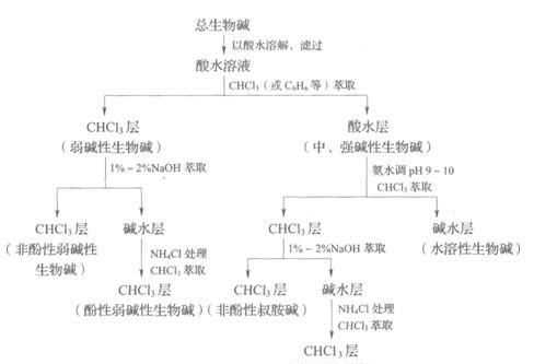 生物堿是什么