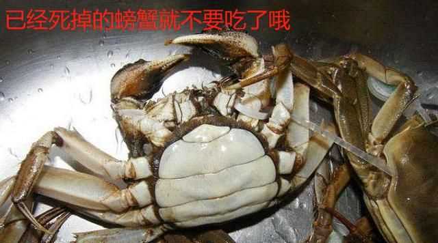 蒸螃蟹需要多長(zhǎng)時(shí)間才能熟，螃蟹需要蒸多長(zhǎng)時(shí)間？圖4