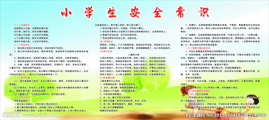 小學(xué)生安全知識(shí)提綱