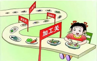 食品安全知識見(jiàn)解1000字左右