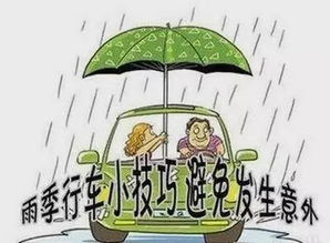 雨季汛期安全行車(chē)知識