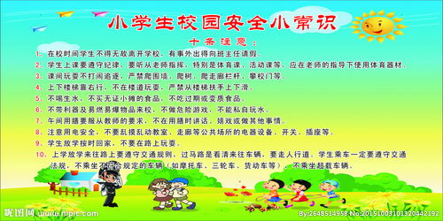 小學(xué)生校內校外的安全知識