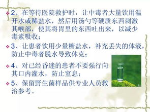 小學(xué)生預防野生菌中毒安全知識