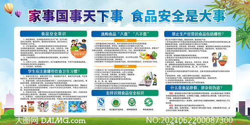 學(xué)校食品安全知識宣傳總結