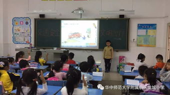 召開(kāi)交通安全知識會(huì )通知