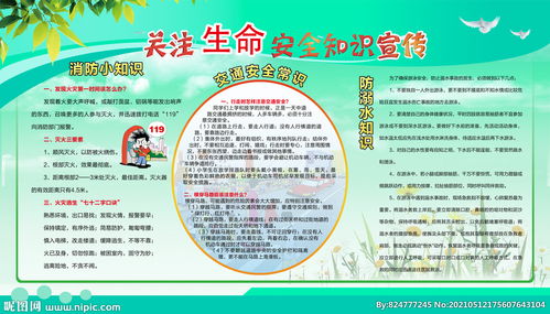安全知識宣傳日是幾號