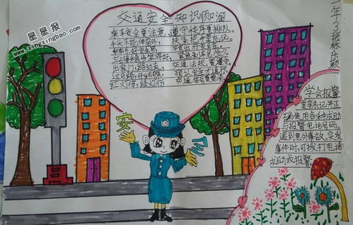 初中生交通安全知識手抄報內容