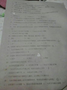 精品網(wǎng)絡(luò )知識安全作文400字