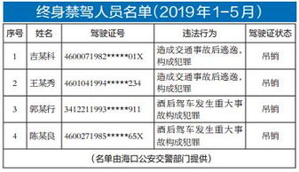 機關(guān)單位道路交通安全知識