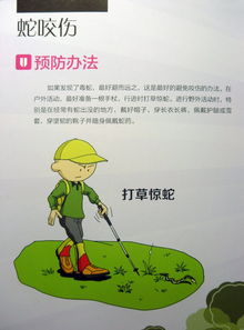 防動(dòng)物咬傷的安全知識