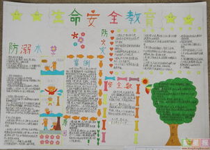 安全教育知識的手抄報內容摘要