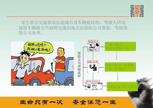 保護耳朵教案公共安全知識