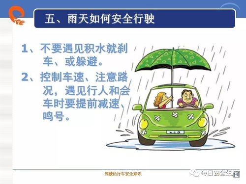 春季駕駛員交通安全知識