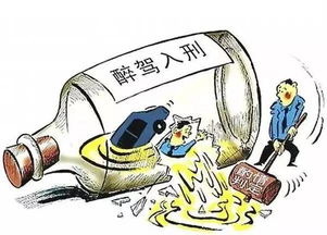 酒駕安全知識