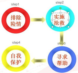 安全救護知識培訓計劃