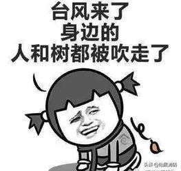 臺風(fēng)安全防護小知識