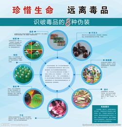 禁毒安全知識教育教案小班