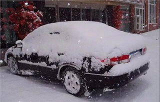 冬季除雪防滑安全知識(shí)
