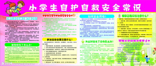 小學(xué)生自護自救安全知識講座