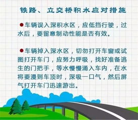 供電企業(yè)夏季汛期安全巡視知識