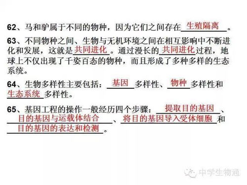 軋鋼安全基礎知識三個確認是什么