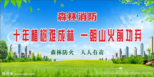 小學(xué)生森林安全知識標(biāo)語