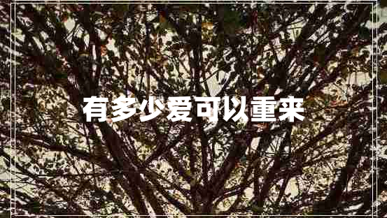 有多少愛(ài)可以重來(lái)