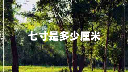 七寸是多少厘米 七寸是多少厘米