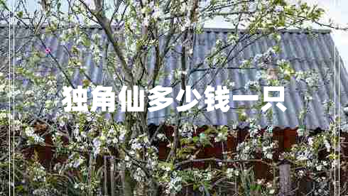 獨角仙多少錢(qián)一只