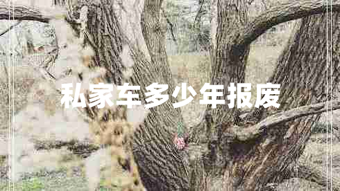 私家車(chē)多少年報廢