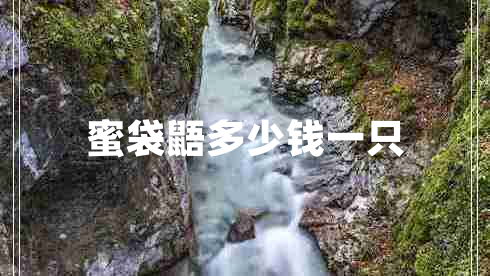 蜜袋鼯多少錢(qián)一只