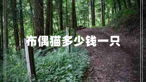 布偶貓多少錢(qián)一只