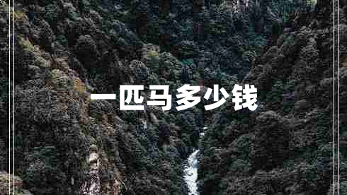 一匹馬多少錢 一匹馬多少錢