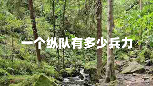 一個(gè)縱隊有多少兵力