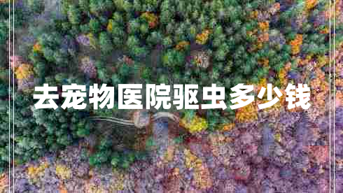 去寵物醫院驅蟲(chóng)多少錢(qián)