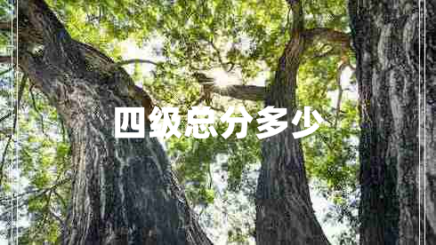 四級總分多少