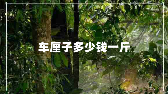 車(chē)厘子多少錢(qián)一斤