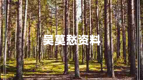 吳莫愁資料