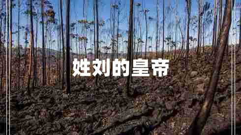 姓劉的皇帝
