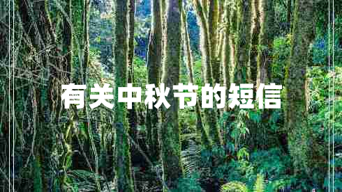 有關(guān)中秋節的短信