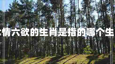 七情六欲的生肖是指的哪個(gè)生肖