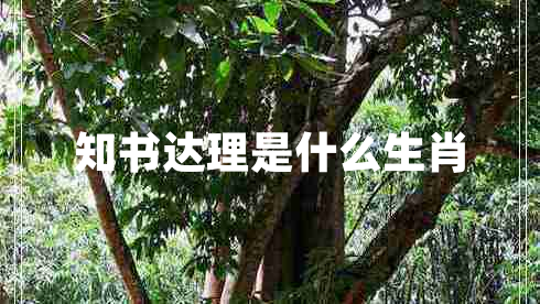 知書(shū)達理是什么生肖