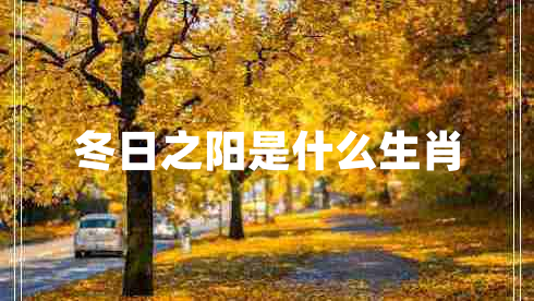 冬日之陽(yáng)是什么生肖