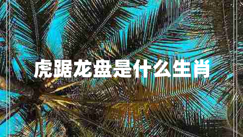 虎踞龍盤(pán)是什么生肖