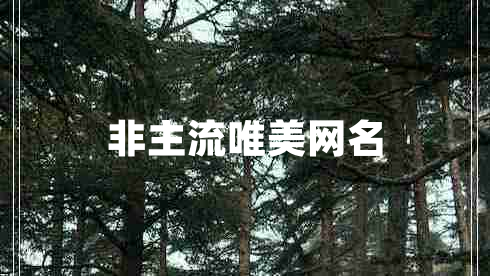 非主流唯美網(wǎng)名