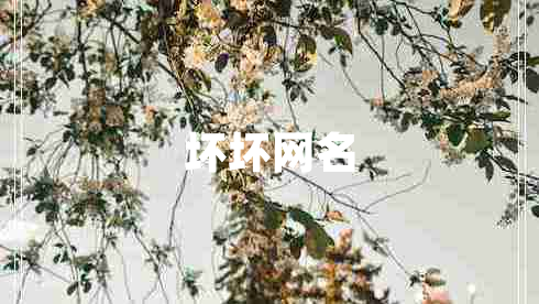 壞壞網(wǎng)名