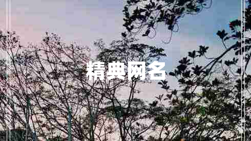精典網(wǎng)名 精典網(wǎng)名