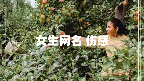 女生網(wǎng)名 傷感