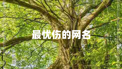 最憂(yōu)傷的網(wǎng)名